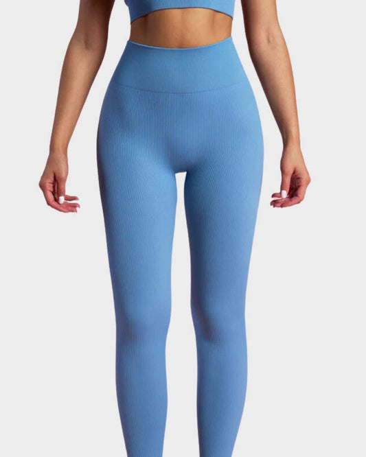 IonSculp® Basic Seamless Leggings